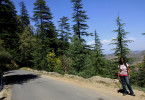 Photo Tour of The Glen (Shimla, HP)