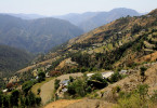 Photo Post : Kogi (Himachal Pradesh)