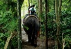 Kerala Spice Route Itinerary