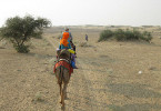 Pushkar Camel Safari
